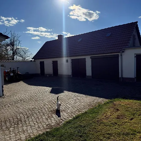 Mila * Löbau